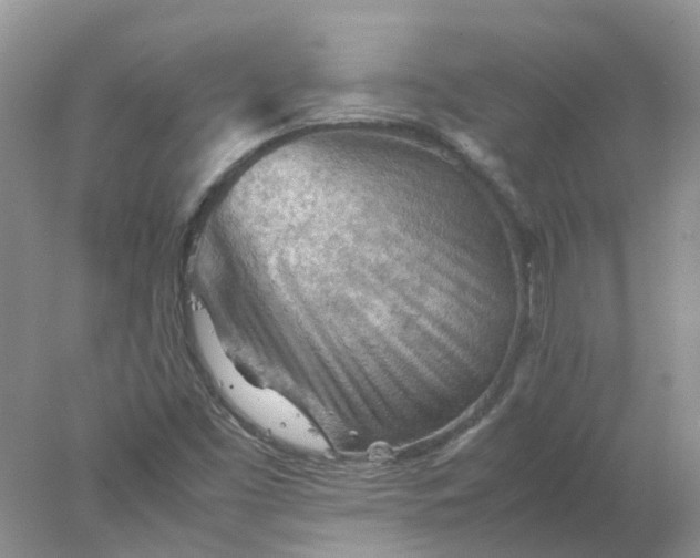 X0000077971453200611101624