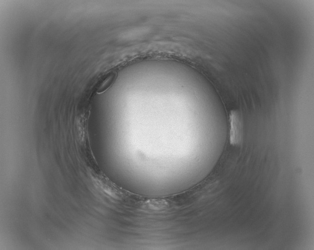 X0000077971491200611101622