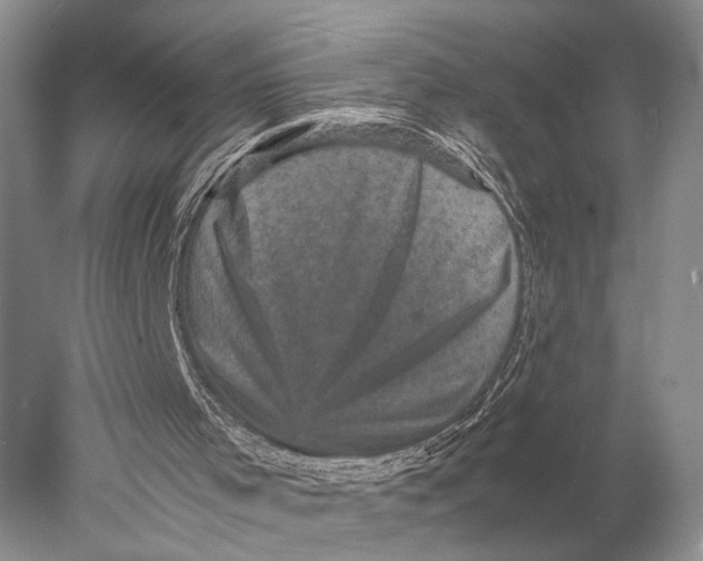 X0000077970001200611171715