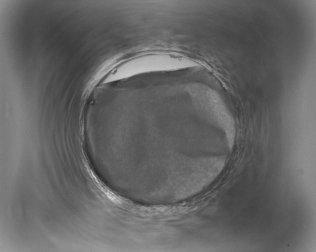 X0000077970005200611171715