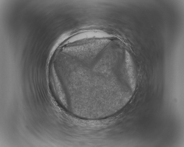 X0000077970006200611171715