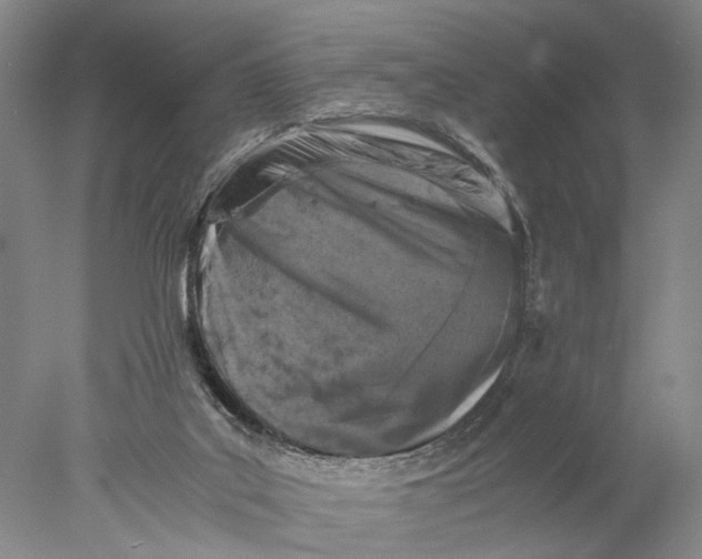 X0000077970019200611171714