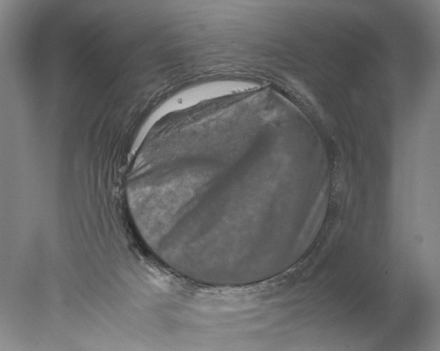 X0000077970025200611171714