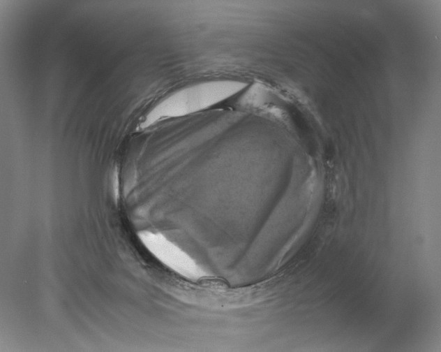 X0000077970027200611171714