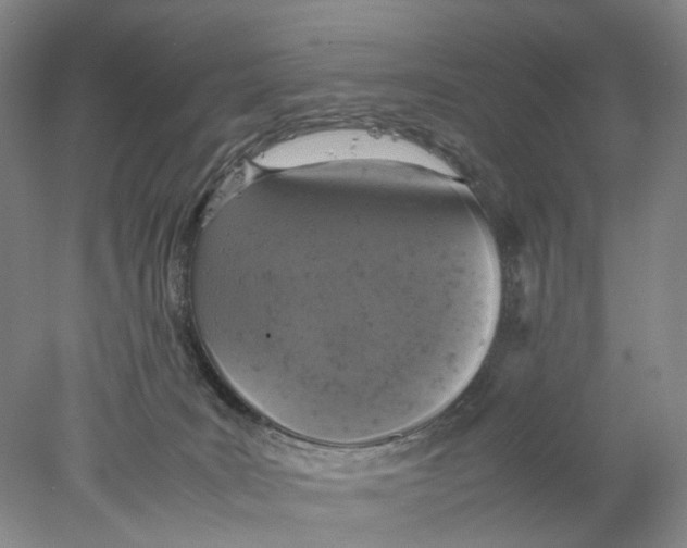 X0000077970035200611171714