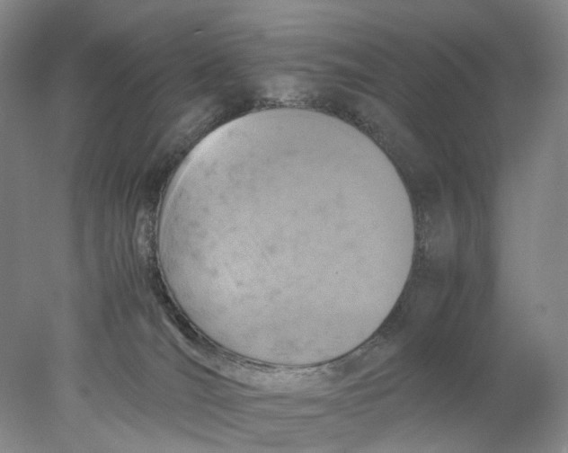 X0000077970036200611171714