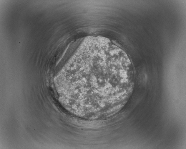 X0000077970044200611171714
