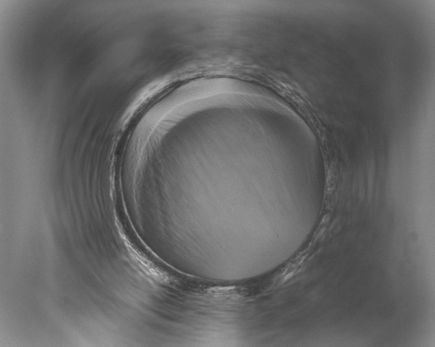 X0000077970054200611171713