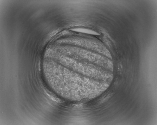 X0000077970068200611171713