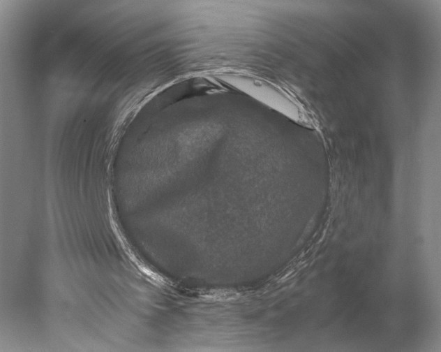 X0000077970097200611171713