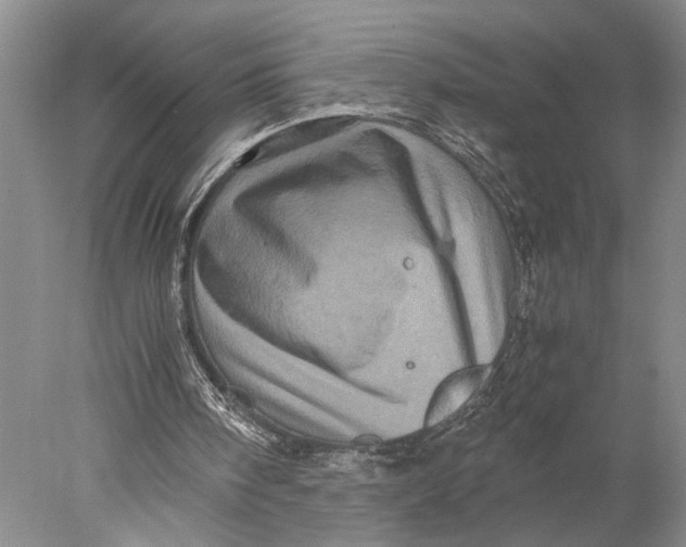 X0000077970098200611171713