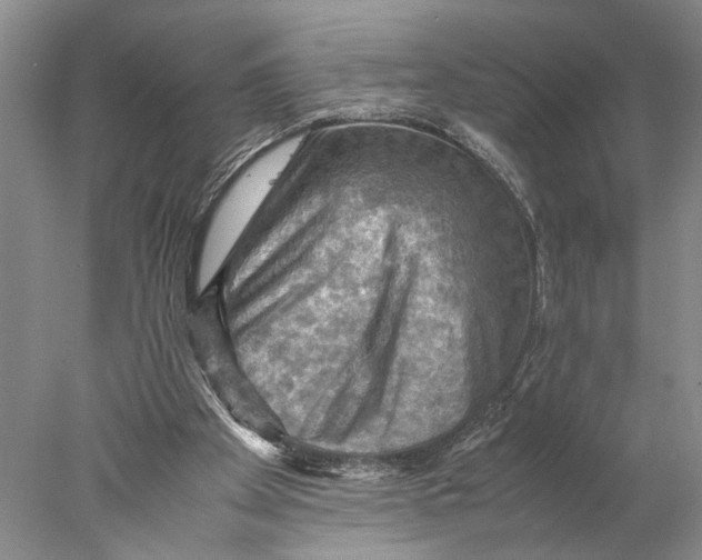 X0000077970105200611171713