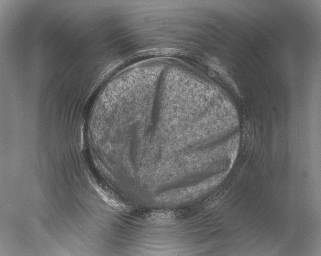 X0000077970110200611171713
