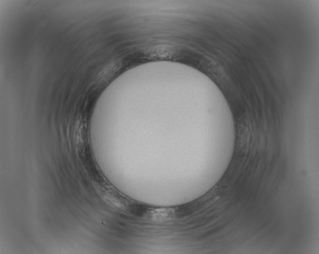 X0000077970126200611171713
