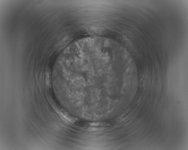 X0000077970130200611171712