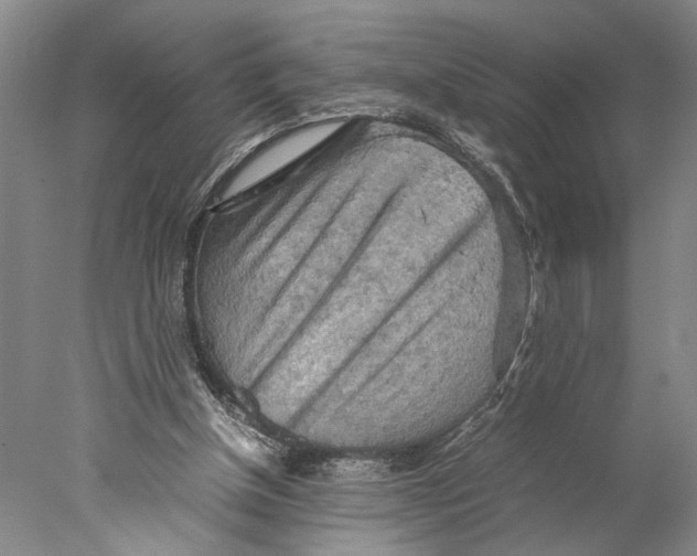 X0000077970154200611171712