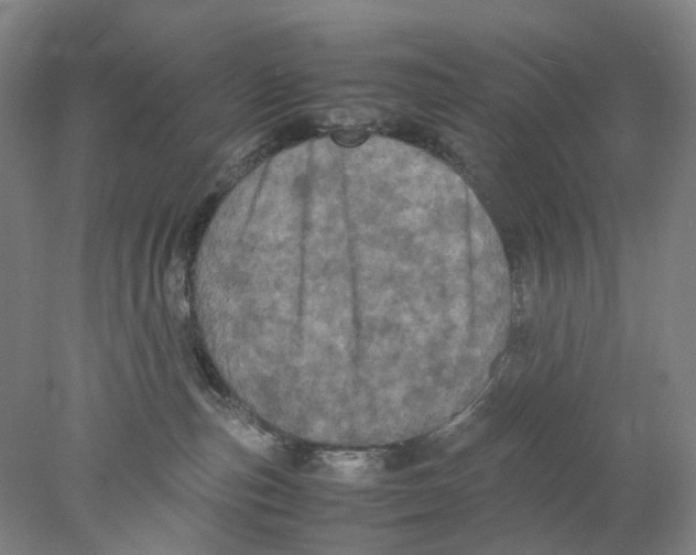 X0000077970187200611171712