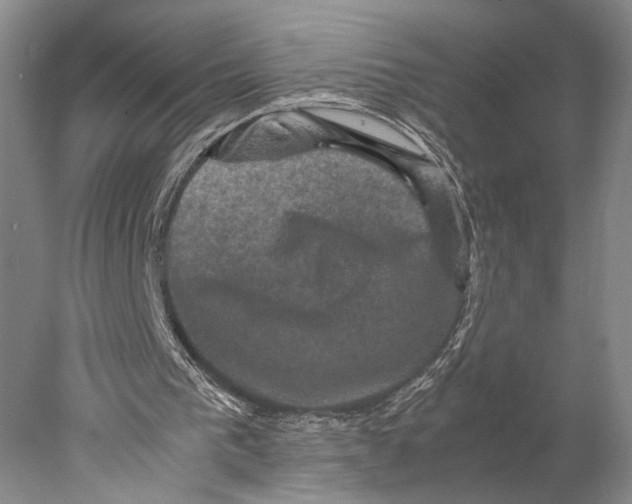 X0000077970193200611171711