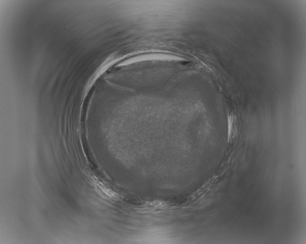X0000077970195200611171711