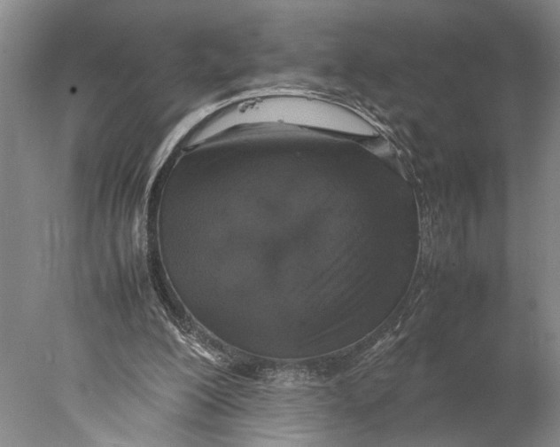 X0000077970200200611171711