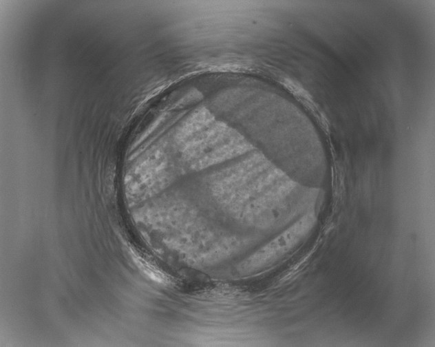 X0000077970201200611171711