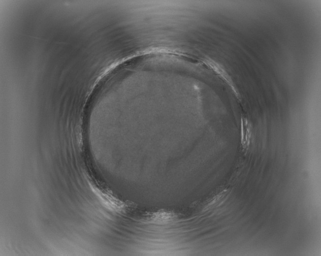 X0000077970204200611171711
