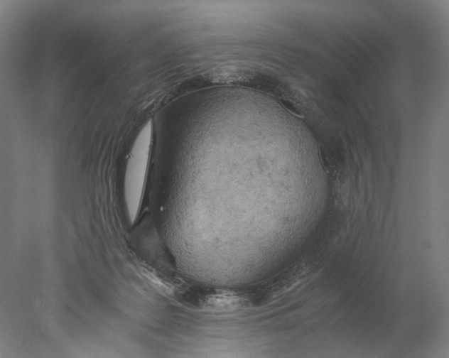 X0000077970219200611171711