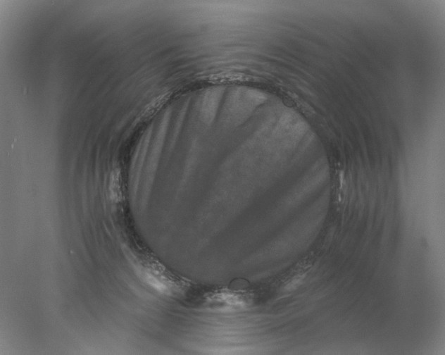 X0000077970224200611171711