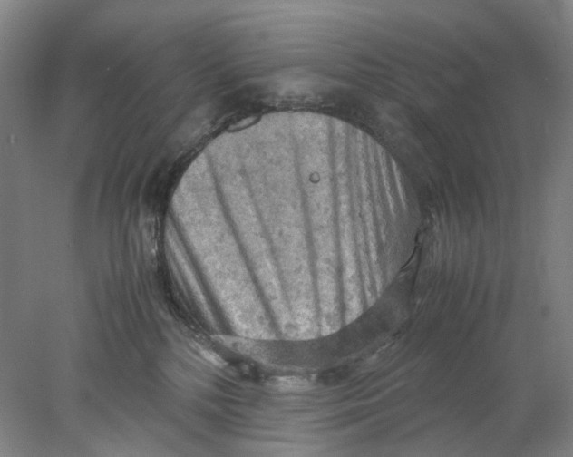 X0000077970232200611171711