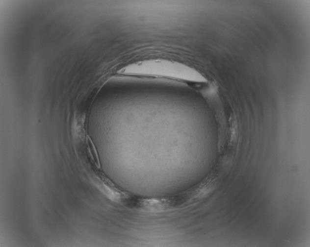 X0000077970239200611171711