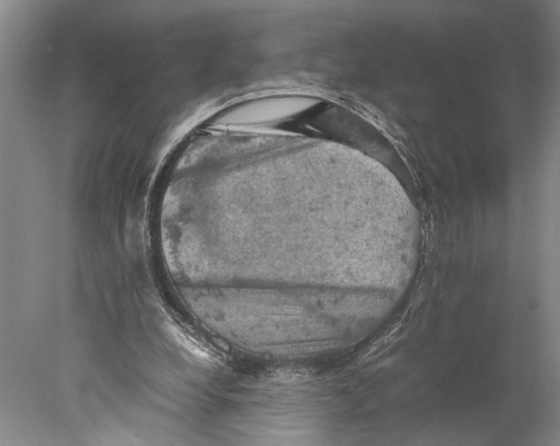 X0000077970248200611171710
