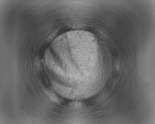 X0000077970276200611171710