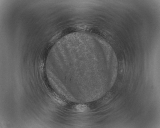 X0000077970279200611171710