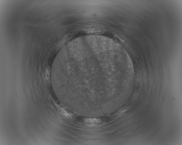 X0000077970281200611171710