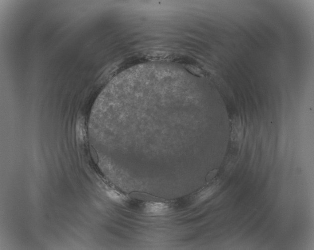 X0000077970287200611171711