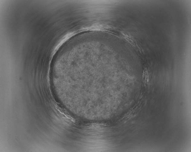 X0000077970292200611171710