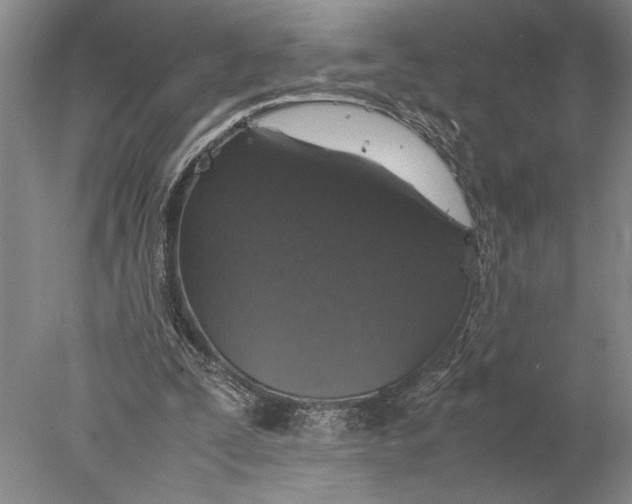 X0000077970295200611171710