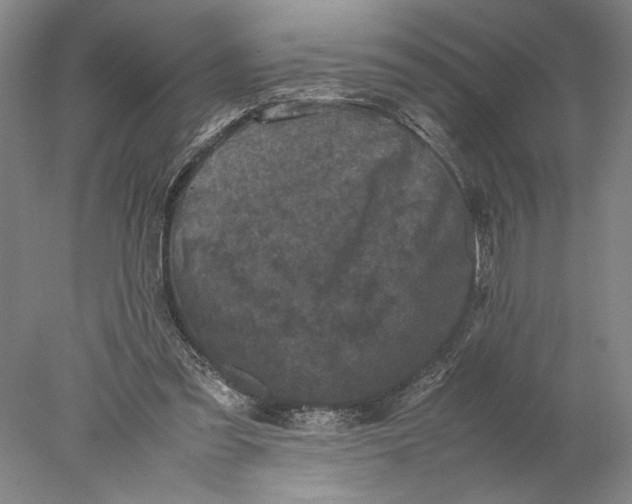 X0000077970301200611171710