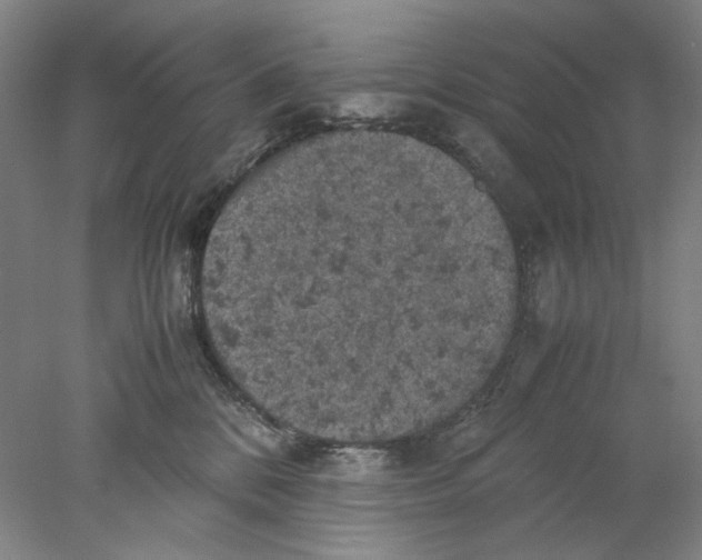 X0000077970328200611171709