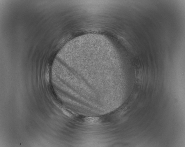 X0000077970334200611171709