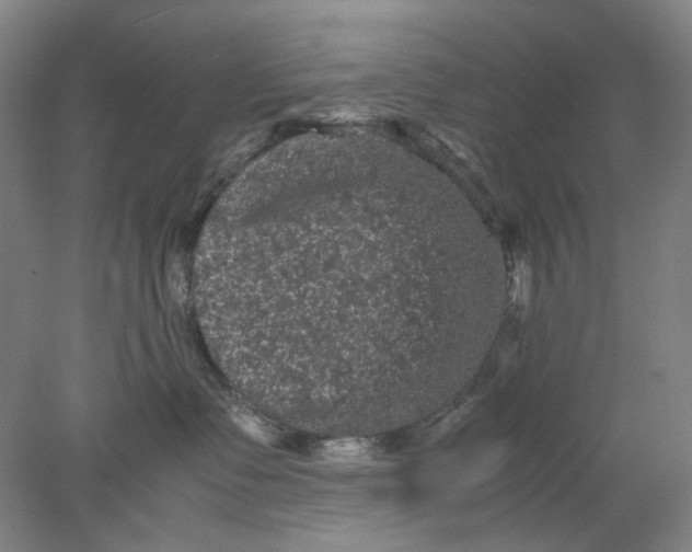 X0000077970335200611171709