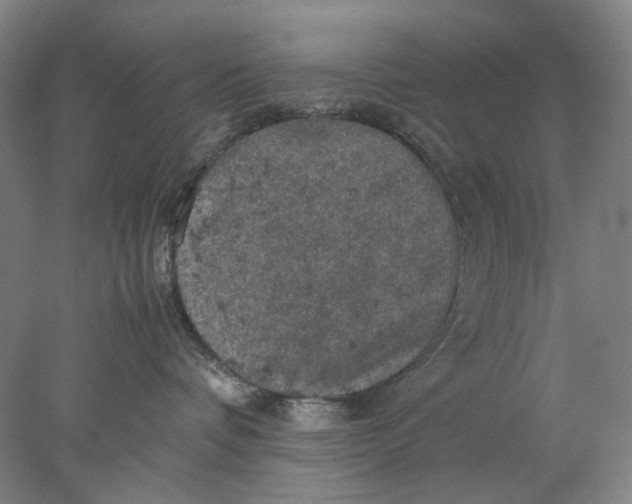 X0000077970336200611171709