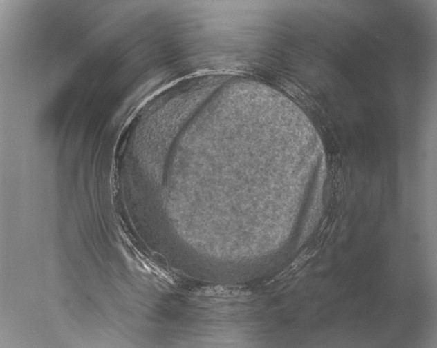 X0000077970338200611171708