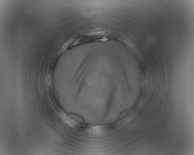 X0000077970382200611171709
