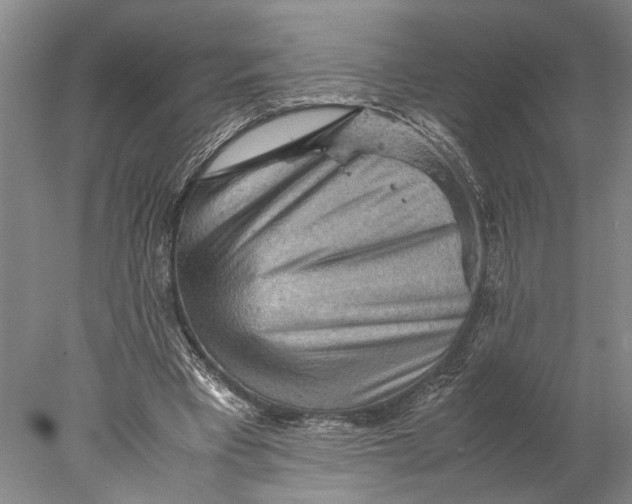 X0000077970393200611171708