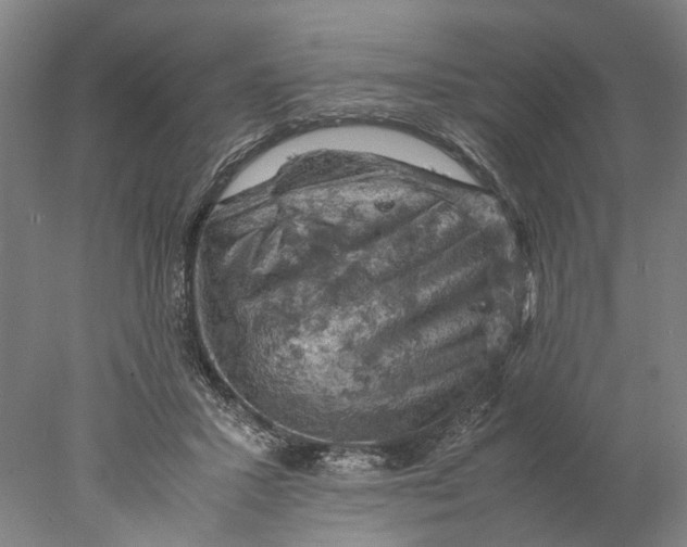 X0000077970407200611171708
