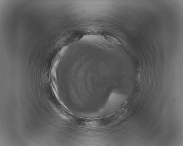 X0000077970411200611171708