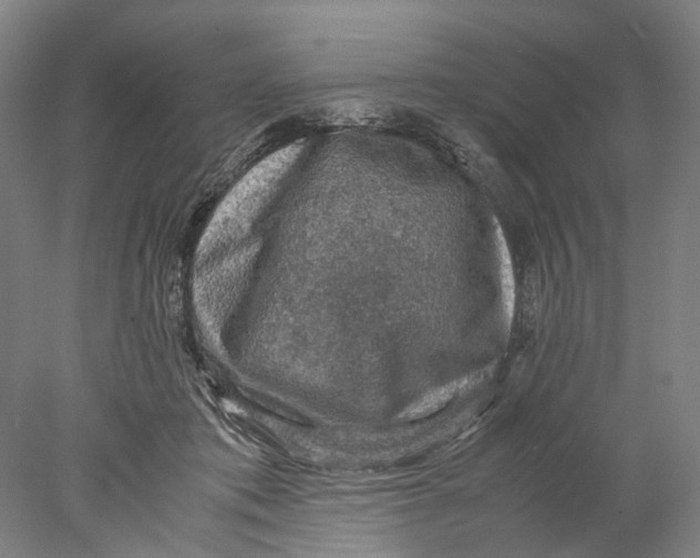 X0000077970413200611171708