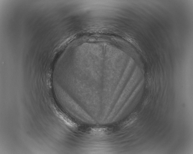 X0000077970450200611171707