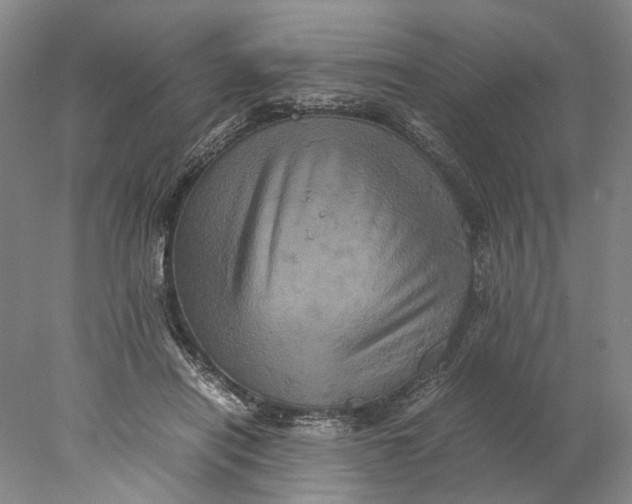 X0000077970454200611171707